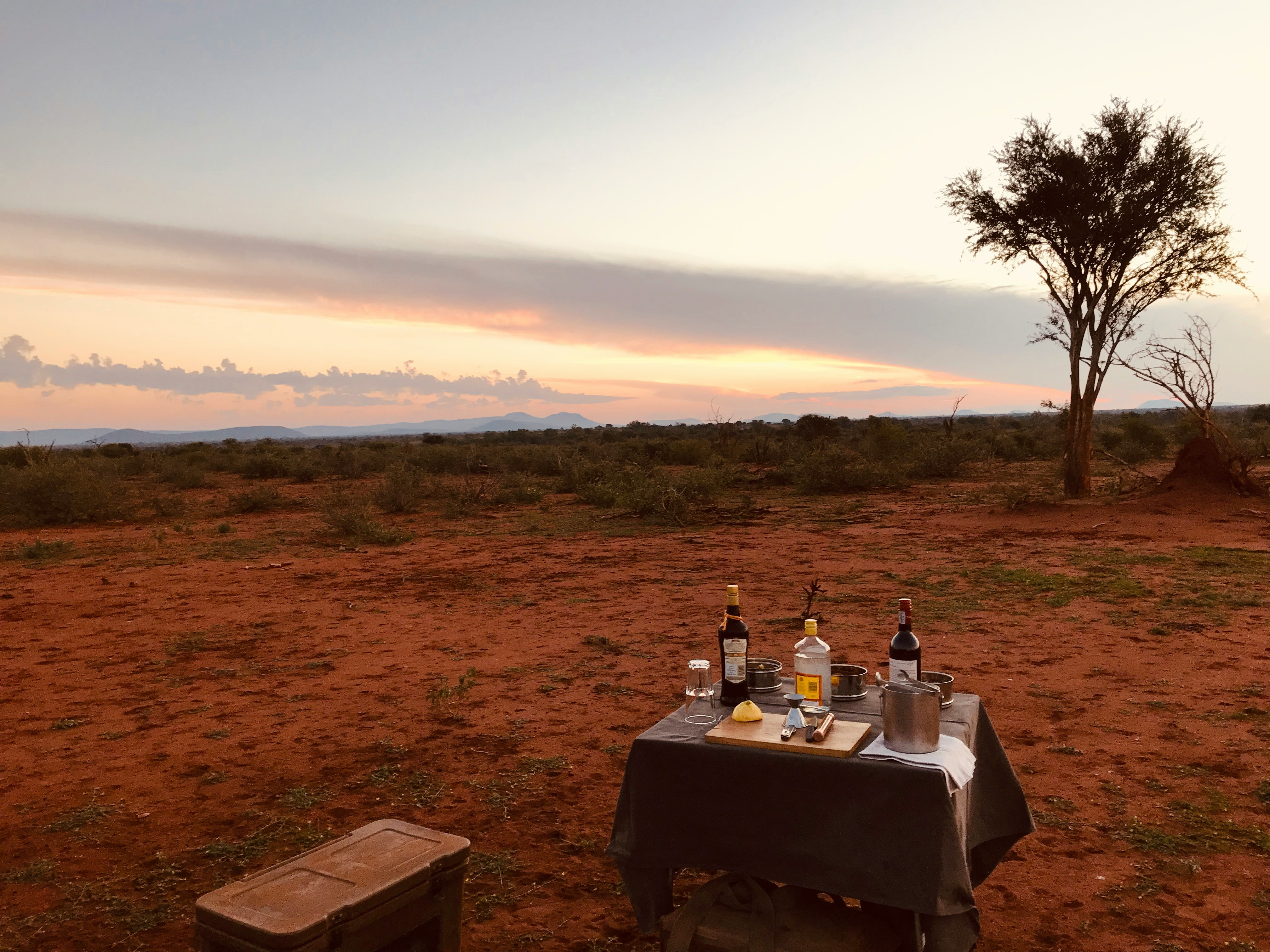 Bush sundowner on the red soil plains at sunset