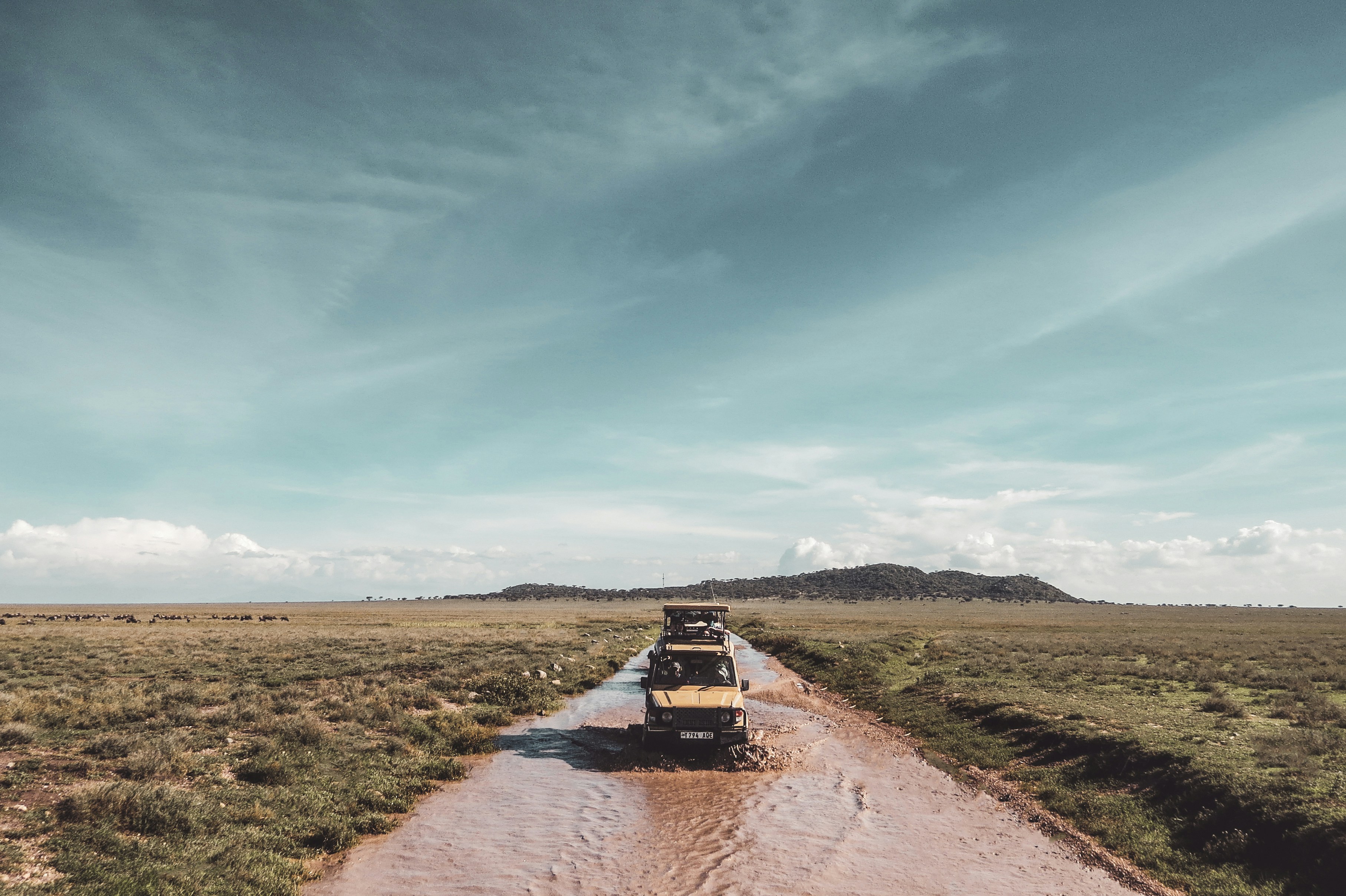 Luxury tented camp with open bush view