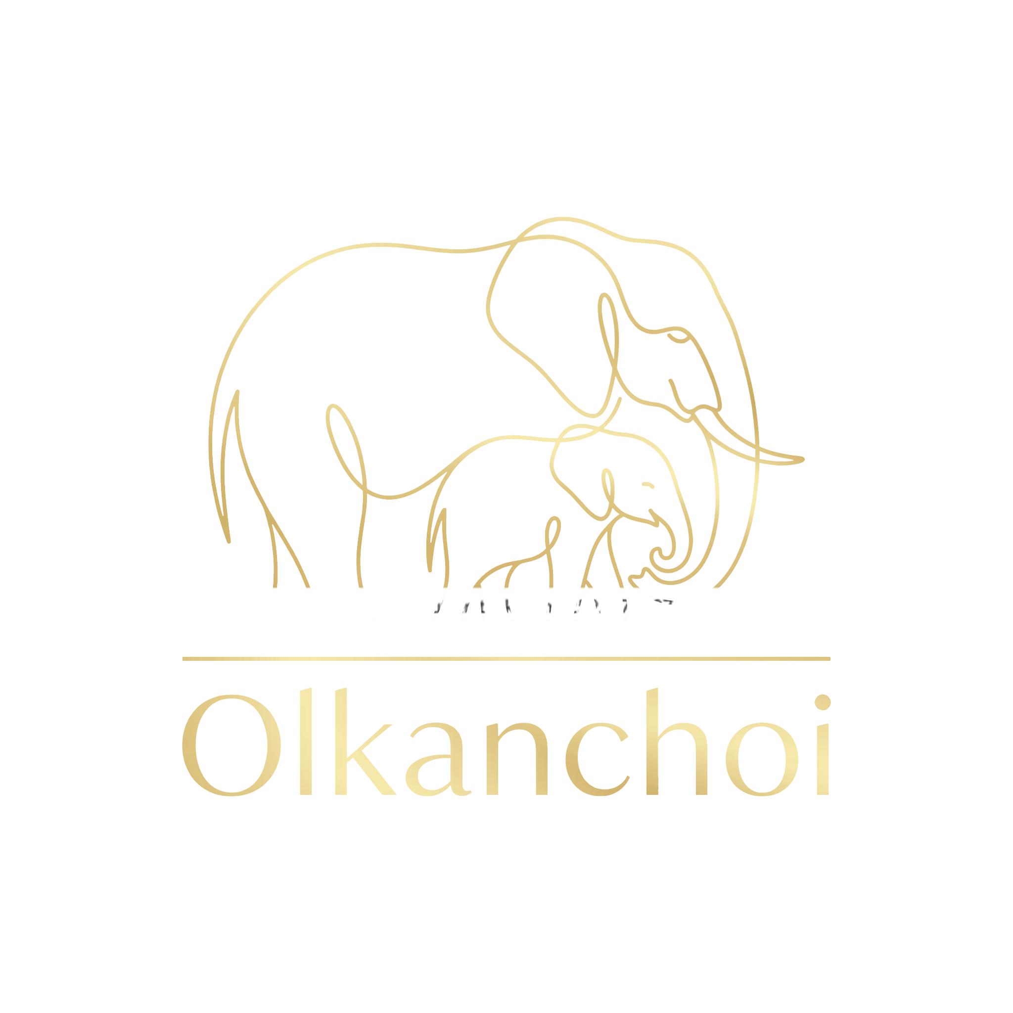 Olkanchoi Journeys
